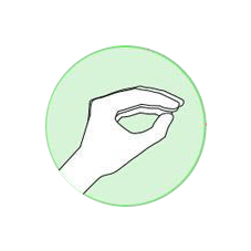 Lagarto